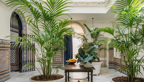 Santa Paula Pool & Luxury - Foto 3