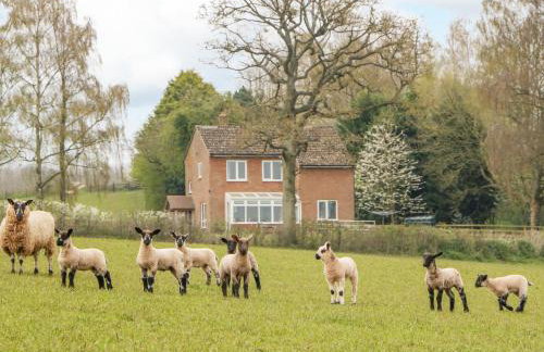 Orchard House - Photo 47