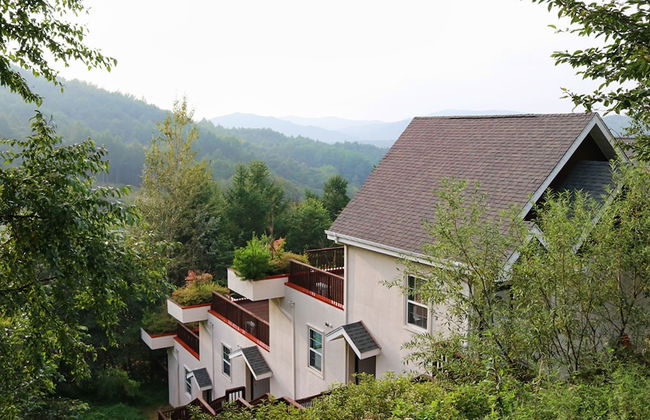 Club Castle - Photo 52