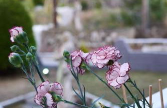 Chrysanthi Luxury Villa In Salakos, with Pool & Jacuzzi, Near Beach - Foto 40