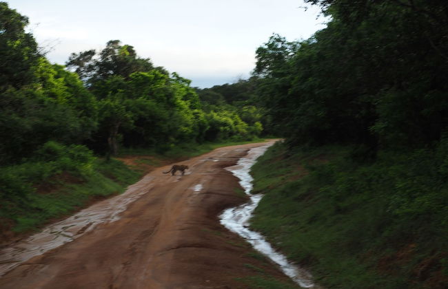 Prasad Suomi Villa - Foto 22