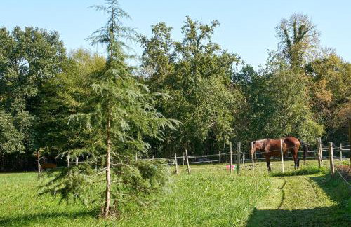 L'Envol - Oasis Ressource - Foto 45