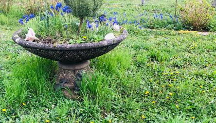 Wohnung Feldmann - Foto 5, Garden