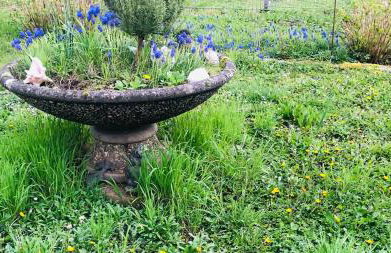 Wohnung Feldmann - Foto 5