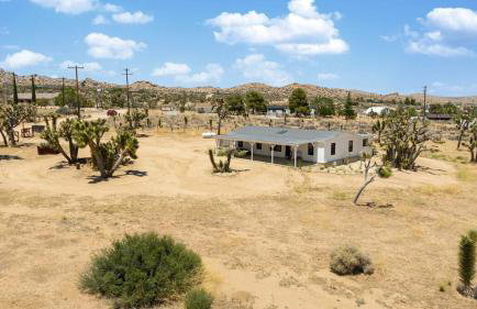 The Whispering Wind Tree - Foto 42