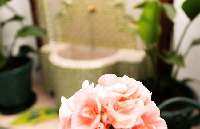 Casa Esmeralda Luxury Boutique Apartments Old Town - Foto 37