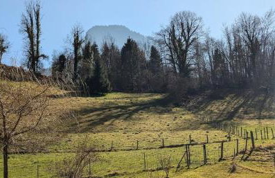 Le gîte de Saury - Foto 29