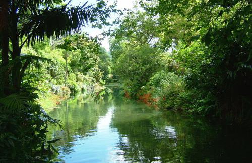 Casa da Tia Luísa - Foto 47