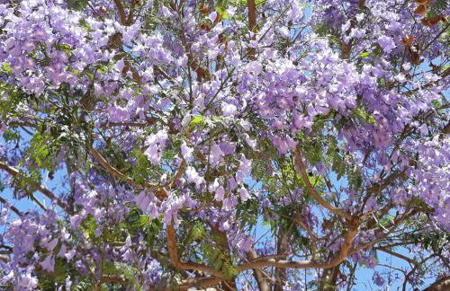 Stay Home & Away in the Heart of Historic Town of Malaga - Photo 30