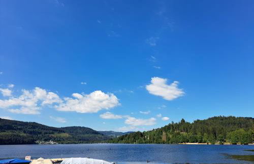 Ferienwohnung Hasenfratz - Foto 63