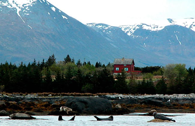 11 Person Holiday Home in Fjortoft-by Traum - Foto 41