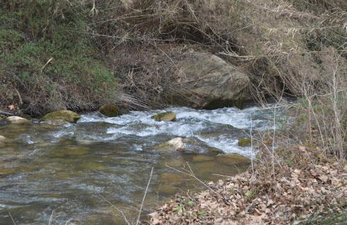 Apartamento Casa Rafa - Foto 32