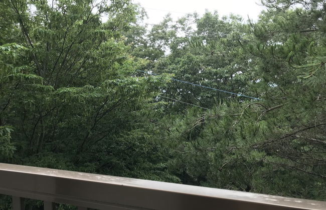 Nasukogen Holiday - Foto 7