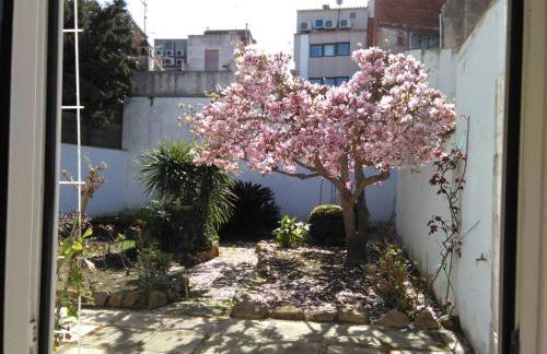 FAMILY Homefromhomees - Foto 52