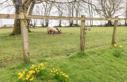 The Barn at Harrolds Farm - Foto 32