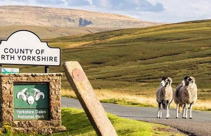 Large 4 bedroom home in Boston Spa village In-between York, Harrogate and Leeds, Sleeps 9 - Foto 23