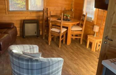 Log Cabin in the City with hot tub - Photo 5