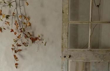 La maison jaune - Foto 15