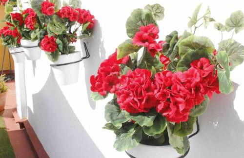 Casa Malagueña a pie de playa - Photo 38