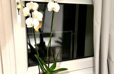 Tolles neues Apartment mit Balkon, EBK, Wlan, Smart TV, Netflix - Foto 13