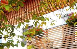 Appartements Schusterbauer - Foto 1