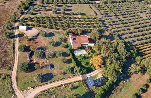 Carcavelos Villa With Pool - Foto 48