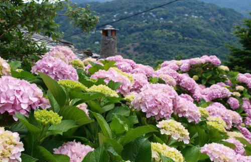 Villa Zina Agios Dimitrios - Foto 20