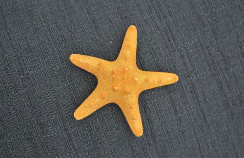 Appartamenti Oltremare - Foto 104