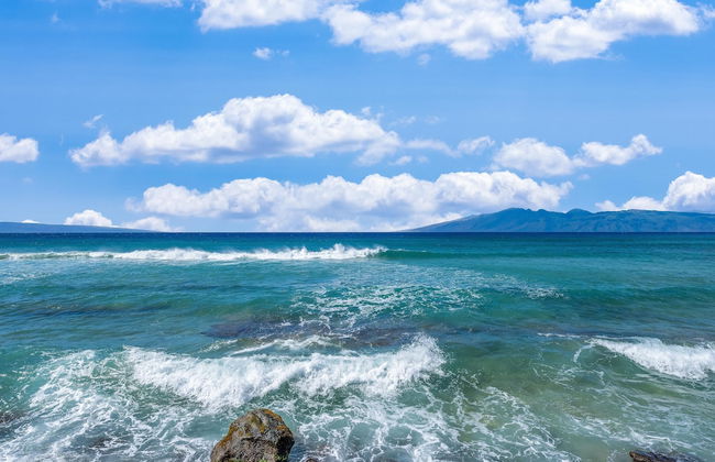 Kaleialoha 213 in Lahaina - Foto 65