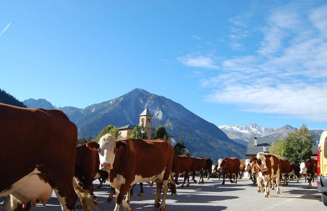 4-6 Pers. Holiday Appartment Near Center of Champagny - Foto 65