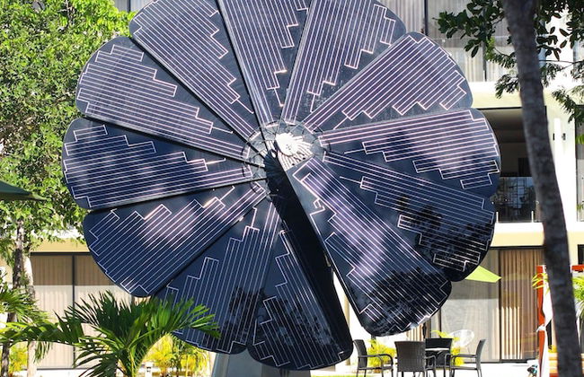 Central Park E102H - Photo 32