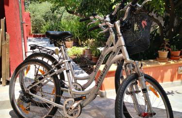 Manyolas 93 - Foto 22