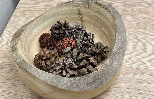 Hochgrat View in Steibis, Haus Akelei - Photo 10