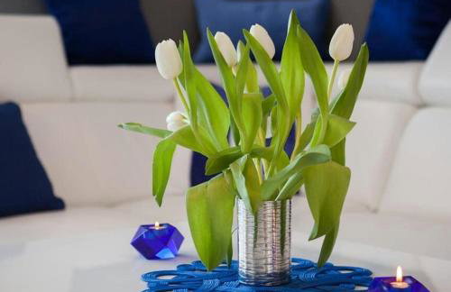 La Perla Apartments - Photo 11