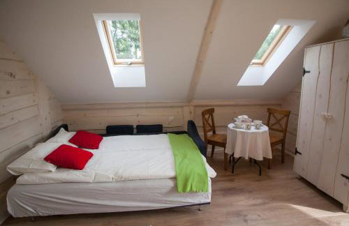 Apartamenty Osowa nad jeziorem Okmin - Foto 35