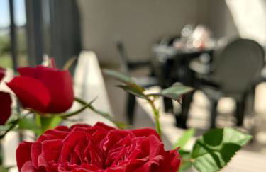 Casa D'Ambra - Photo 5