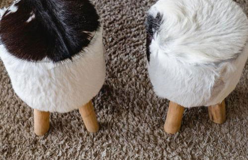 Landhaus Mettenberg - Foto 70