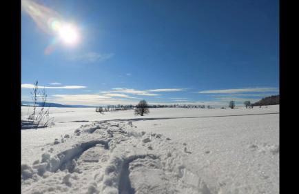 Ferienhaus Erzgebirge "An der Trebe" mit Kamin und Sauna - Photo 31
