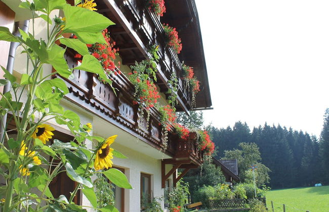 Apartment in Tropolach With Sauna - Foto 17