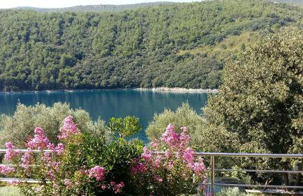 Villa Luma Apartments - Foto 17