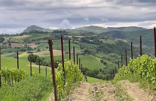 Hillside Villa With Swimming Pool and Jacuzzi - Frasassi Caves - Foto 28