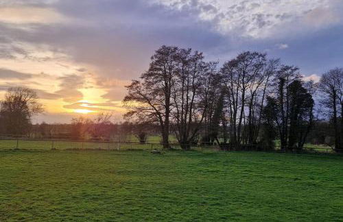 Cosy Owl - Shepherds Hut - Foto 16