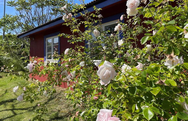 4 Person Holiday Home in Skarhamn-by Traum - Foto 20