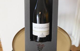 Luxus Penthouse mit Terrasse, Garage, Fahrradraum und Infrarotsauna - Foto 48