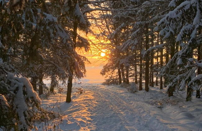 Apartment With Views of the Ore Mountains - Foto 20