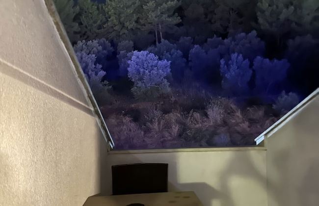 Street61 Studios - Photo 29