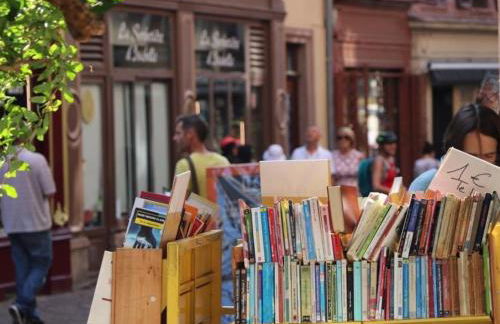 Charmant Appart avec Garage et Terrasse au Coeur de Colmar, près de la Route des Vins d'Alsace - FR-1-722-6 - Foto 17
