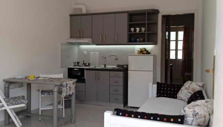 Andros Lighthouse Apartments - Foto 5, stove, pet friendly