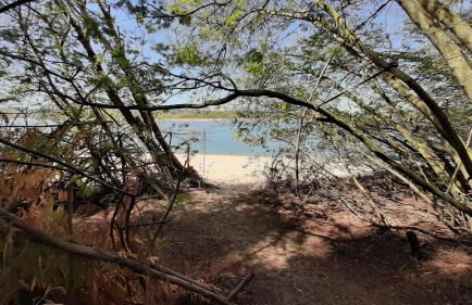Casa da Amoreira - Barragem de Montargil - Foto 48