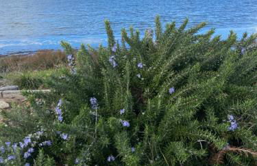 Casa Barbara Sardinia - Foto 45